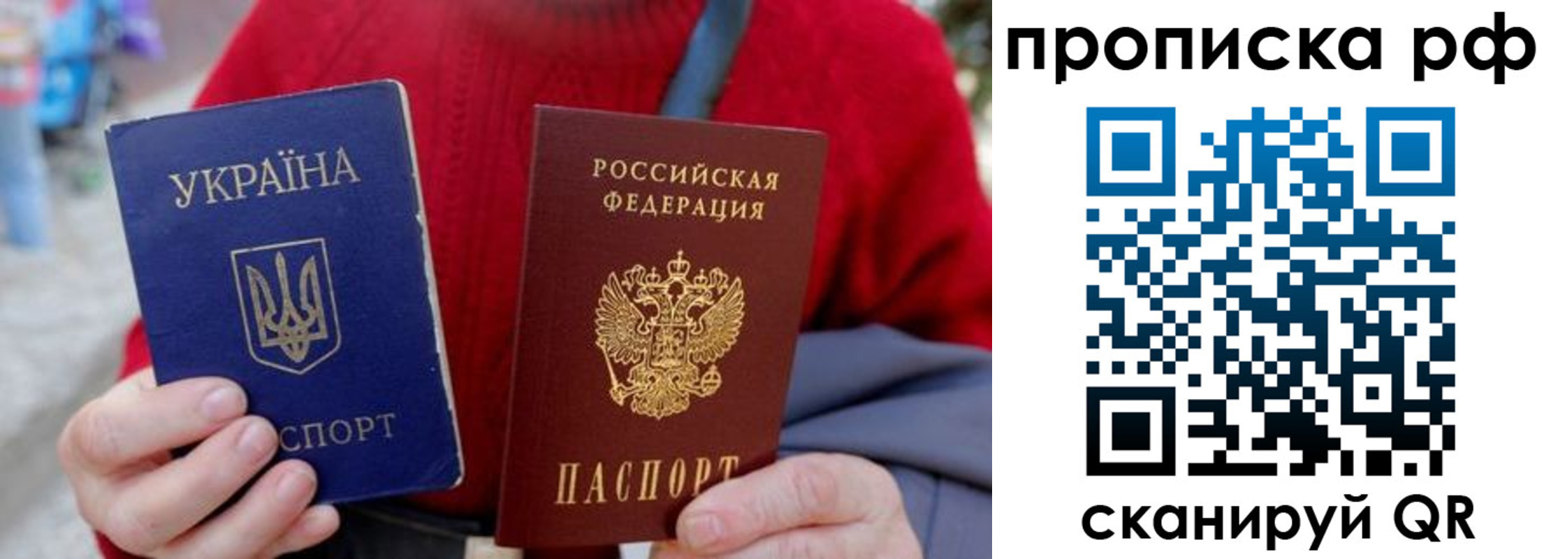 где прописаться в Ельне