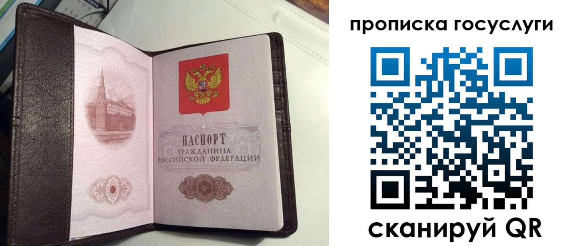 временная прописка в Ельне